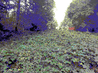 bitcrushed image of a field of plants